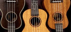 the beautiful world of ukulele and the different chords that you can learn