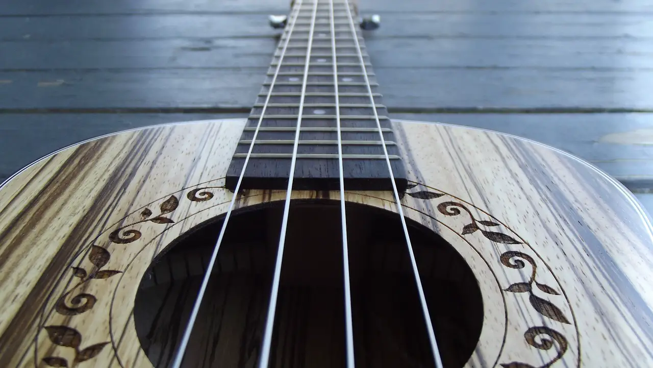 the ukulele is the best stringed instrument ever created