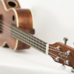 things you did not know about ukulele